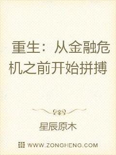 重生:从金融危机之前开始拼搏